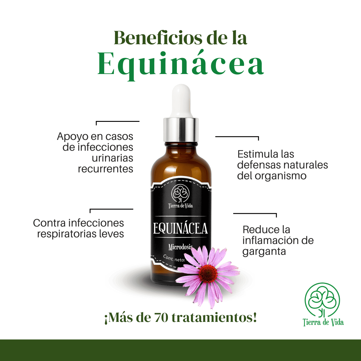 Microdosis de Equinácea Extracto Herbolario 30ml - Imagen 2