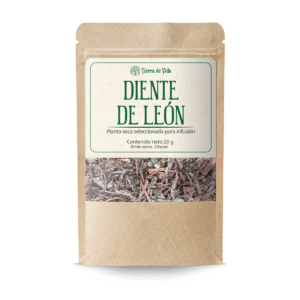 Diente De León - Planta Para Infusión