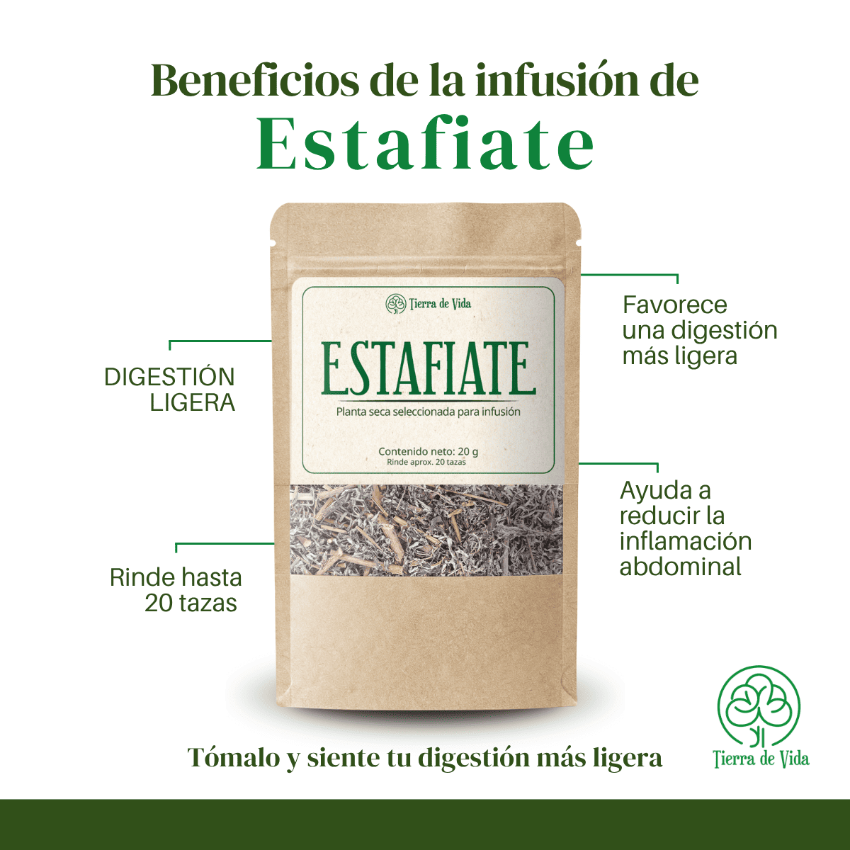 Estafiate - Planta Para Infusión - Imagen 2