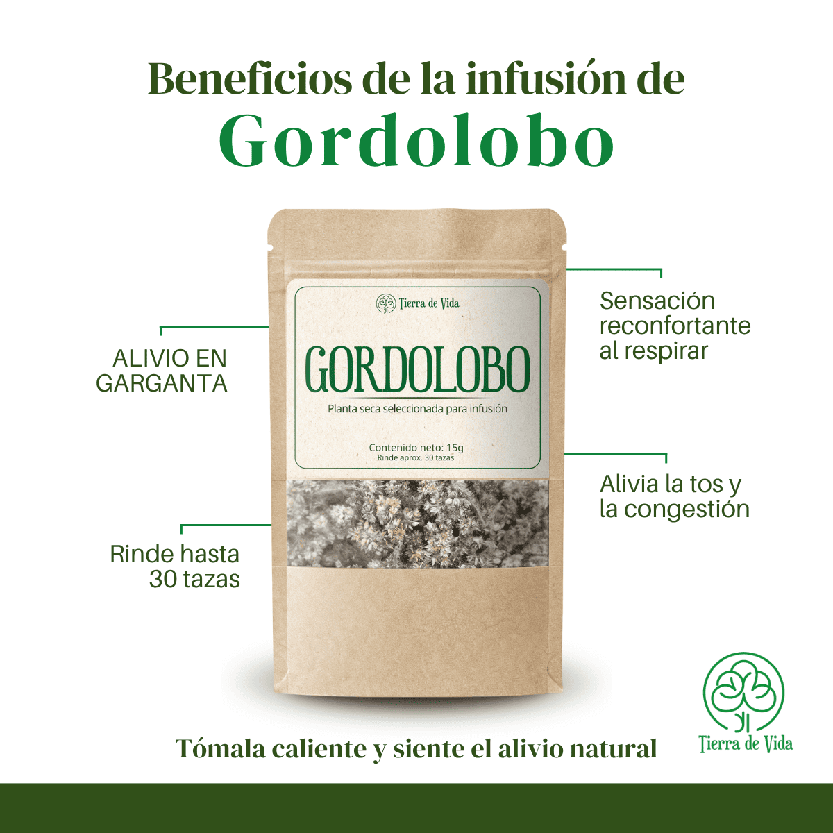 Gordolobo - Planta Para Infusión - Imagen 2