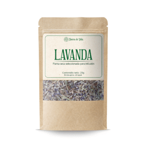 Lavanda - Planta Para Infusión
