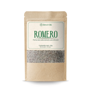 Romero - Planta Infusión