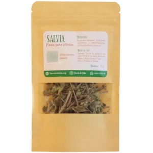 Salvia Officinalis Planta Para Infusión