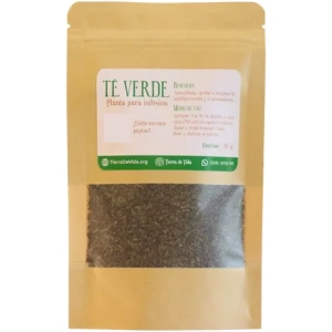 Té Verde Planta Para Infusión