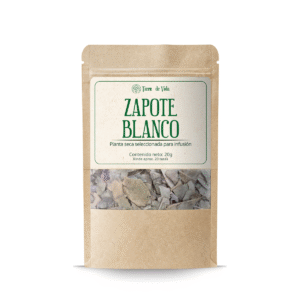 Zapote Blanco - Planta Para Infusión