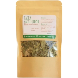 Calea Zacatechichi Planta Para Infusión