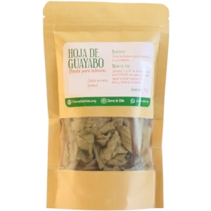 Hoja De Guayaba Té Planta Para Infusión