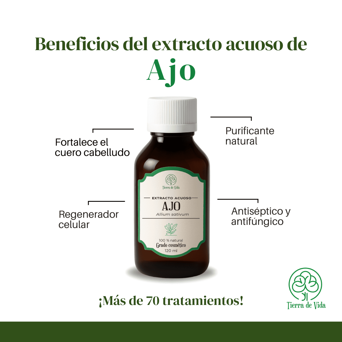 Ajo - Extracto Acuoso 120ml - Uso Cosmético (Incluye Ficha Técnica) - Imagen 2