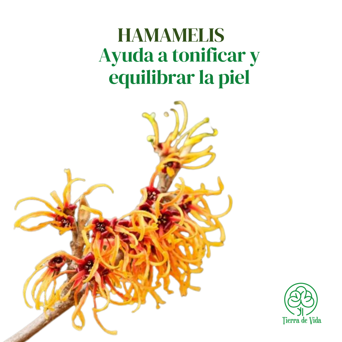 Tónico Facial Hamamelis - Reduce Poros Control Grasa 120ml - Imagen 3