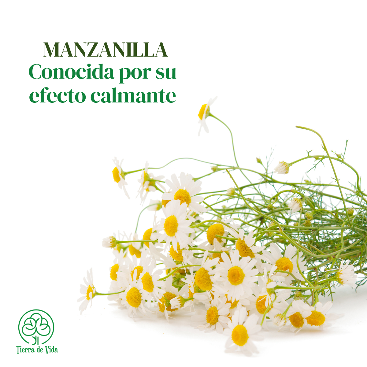 Tónico Facial Manzanilla - Calmante Piel Sensible 120ml - Imagen 3